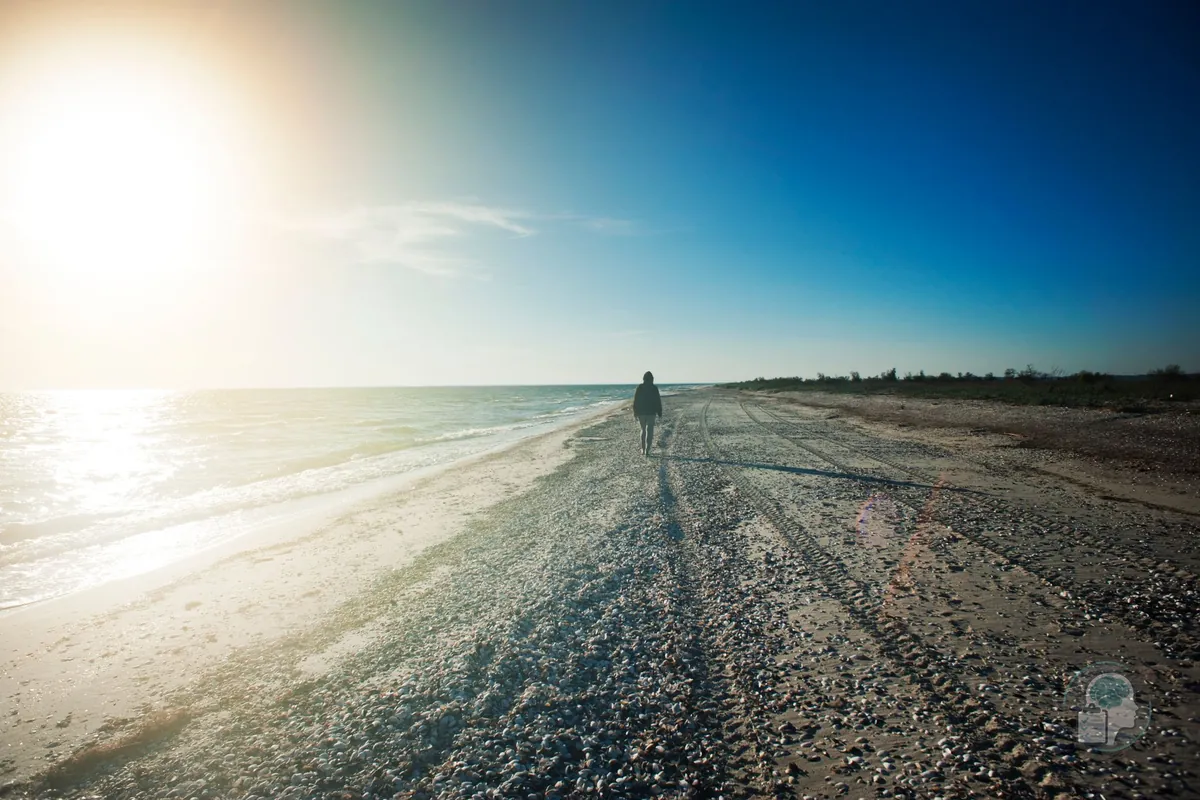 Persona caminando sola por la orilla del mar al amanecer, una de las estrategias que interrumpen la rumiación